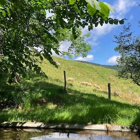 Apartment Schmiedn Selbstversorgerhütte