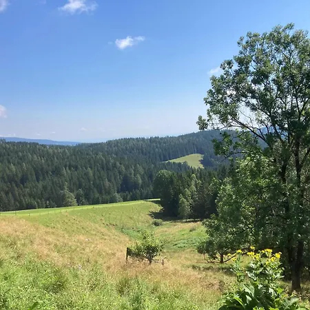 Apartment Schmiedn Selbstversorgerhütte Glashutten